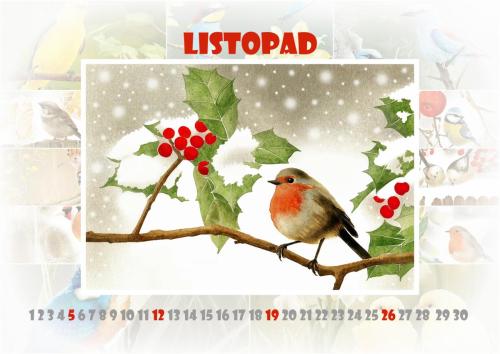 Ptáčci 2023 - listopad