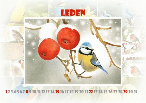 Ptáčci 2023 - leden