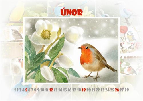 Ptáčci 2023 - únor