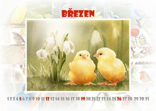 Ptáčci 2023 - březen