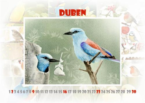 Ptáčci 2023 - duben