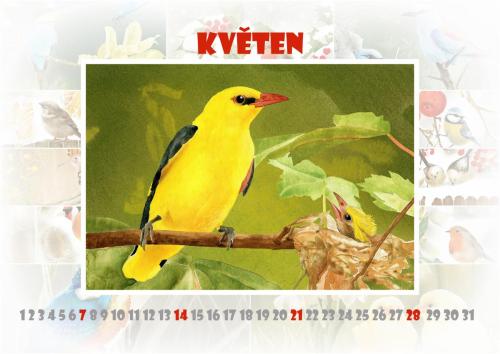 Ptáčci 2023 - květen