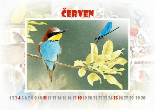 Ptáčci 2023- červen