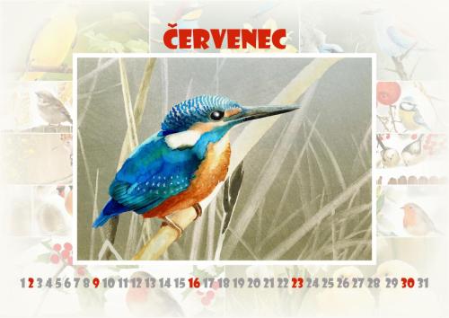Ptáčci 2023 - červenec