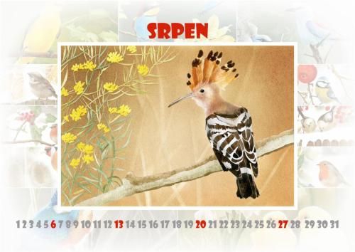 Ptáčci 2023 - srpen