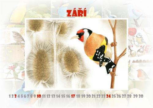 Ptáčci 2023 - září