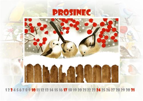Ptáčci 2023 - prosinec