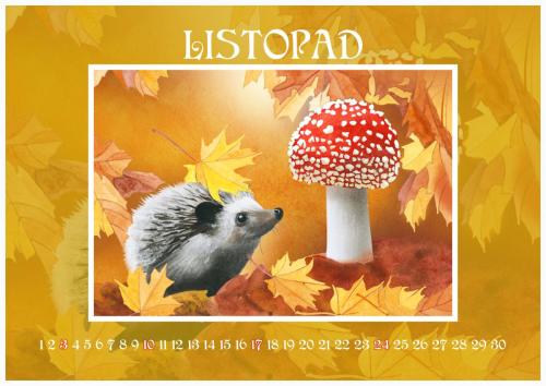 Zahradní slavnost 2024 - listopad