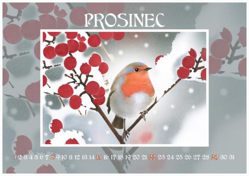 Zahradní slavnost 2024 - prosinec