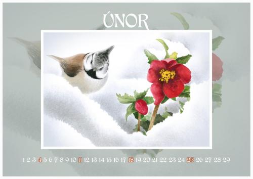 Zahradní slavnost 2024 - únor