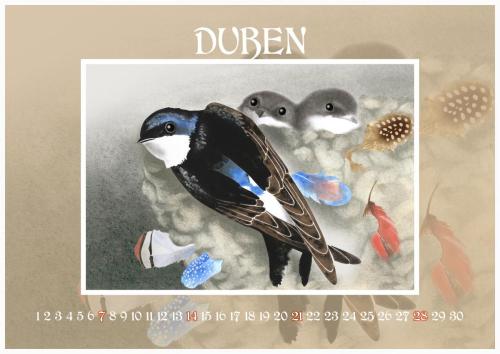 Zahradní slavnost 2024 - duben