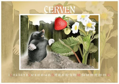 Zahradní slavnost 2024 - červen