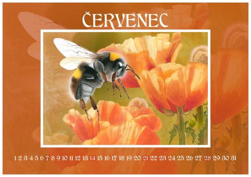 Zahradní slavnost 2024 - červenec