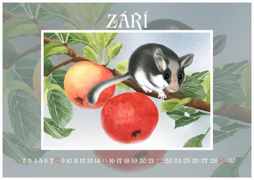 Zahradní slavnost 2024 - září