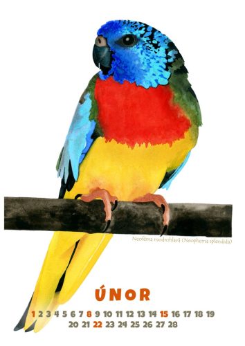 Papoušci-2026-únor