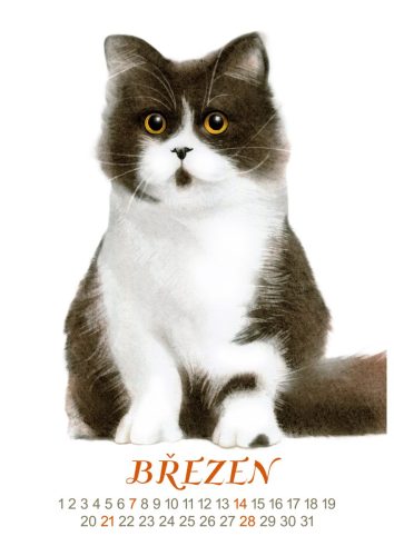Kočky-2027-březen