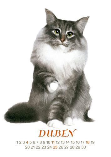 Kočky-2027-duben