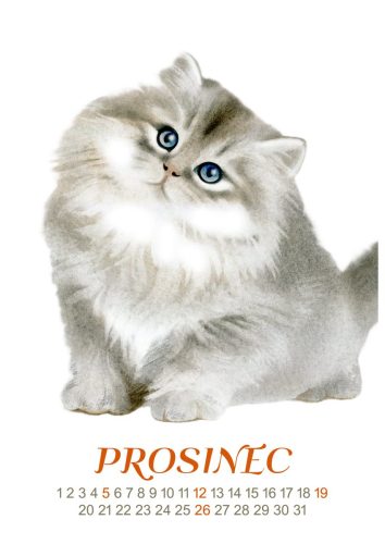 Kočky-2027-prosinec