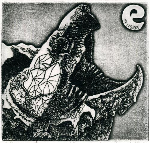 EX LIBRIS E"KAJMANKA SUPÍ"