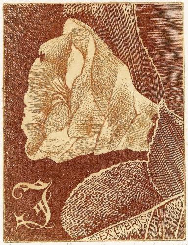 EX LIBRIS J"KAMÉLIE"