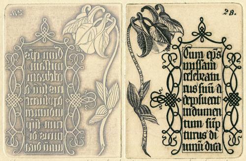 EXL. THE VEGETABLE KINGDOM"HERBÁŘ"