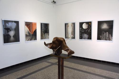 Svorný nesoulad, Galerie 9 2019