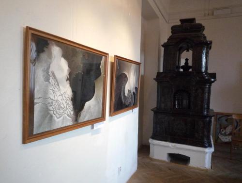 Zámecká galerie města Kladna 2012