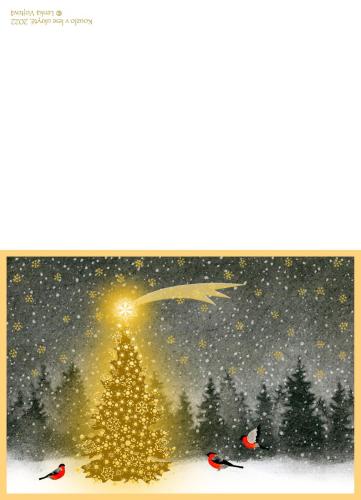 Kouzlo v lese ukryté