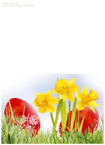 Velikonoční-zahrada narcisy