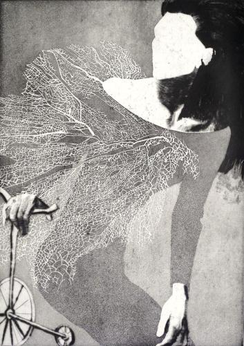 Královna Koloběžka Prvni